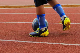 三亿体育体育登录-塔斯马尼亚联战术布置详解，主帅重点强调防守反击